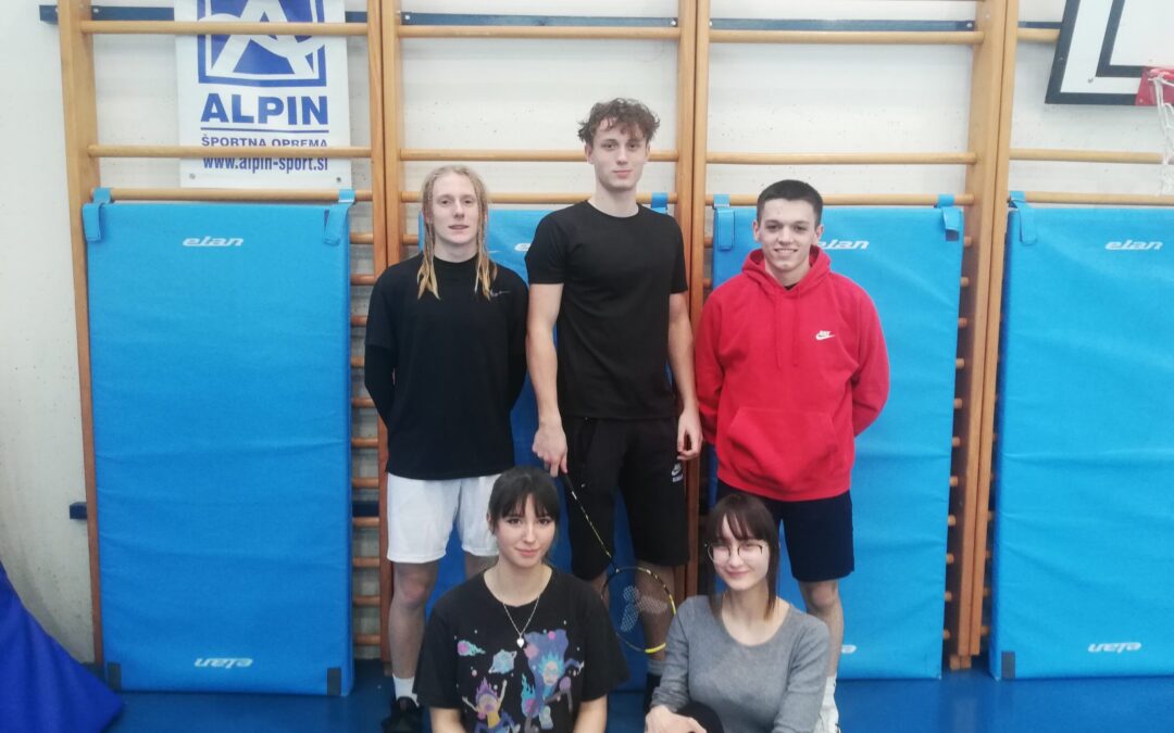 Področno tekmovanje v badmintonu