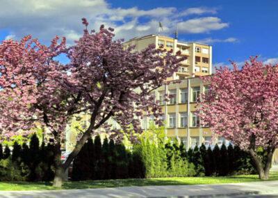 Srednja šola Zagorje