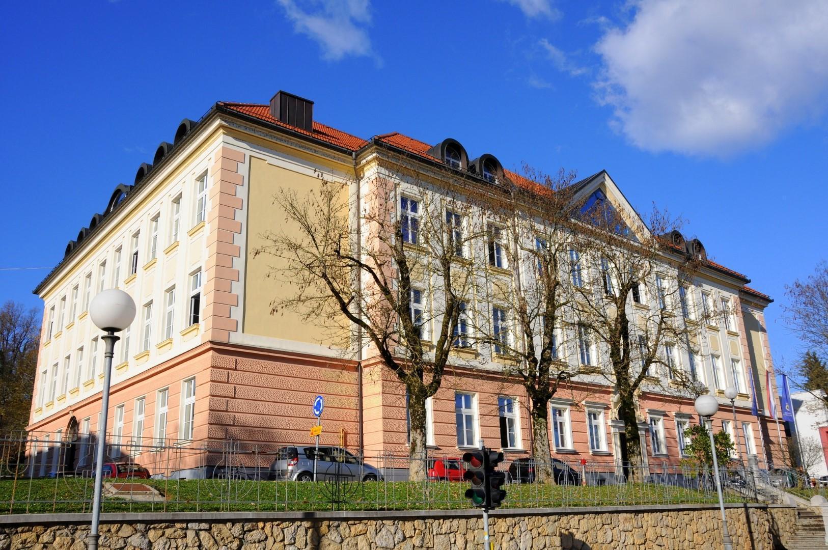 Gimnazija Novo Mesto