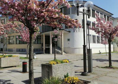 Strokovni izobraževalni center Alme M. Karlin