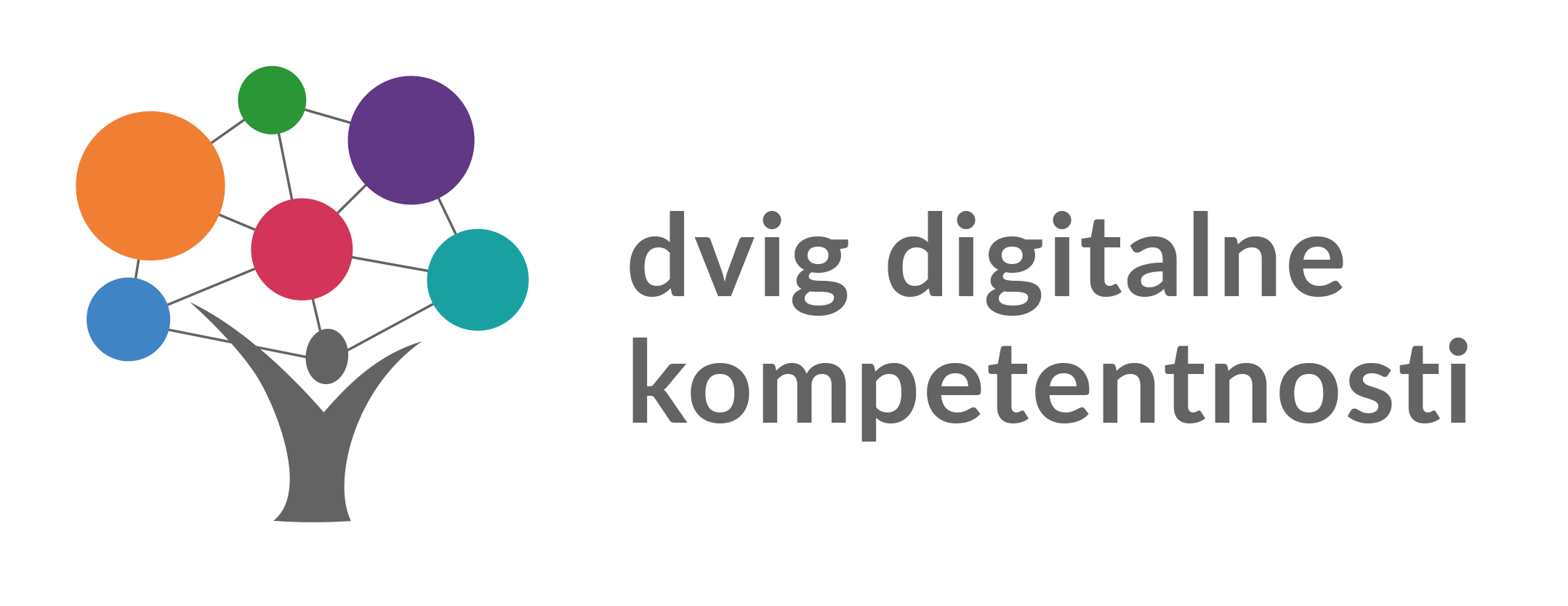 Digitalna strategija 1.0