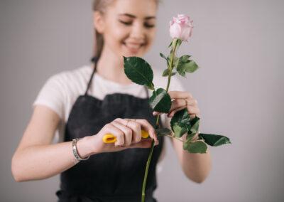 ARANŽERSKI TEHNIK – SSI