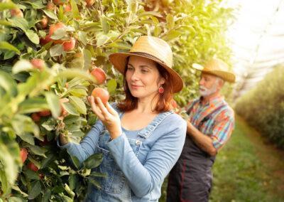 Agronom za sadjarstvo