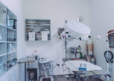 Biotehniški izobraževalni center Ljubljana - Gimnazija in veterinarska šola