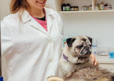 Biotehniški izobraževalni center Ljubljana - Gimnazija in veterinarska šola