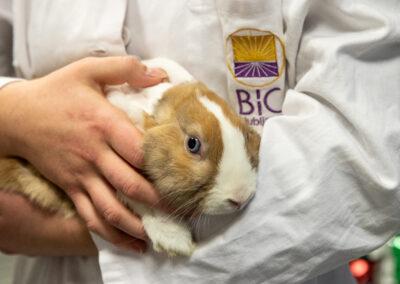 Biotehniški izobraževalni center Ljubljana - Gimnazija in veterinarska šola