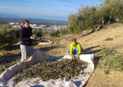 Biotehniški izobraževalni center Ljubljana - Živilska in naravovarstvena šola