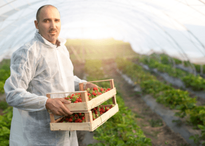 Delavec za preprosta sadjarska dela