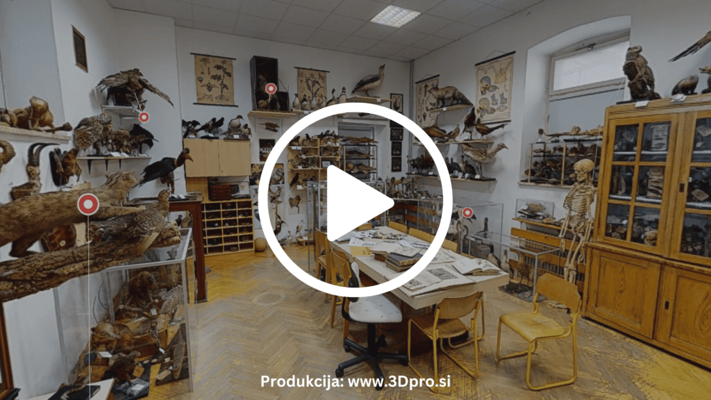Museo Scolastica