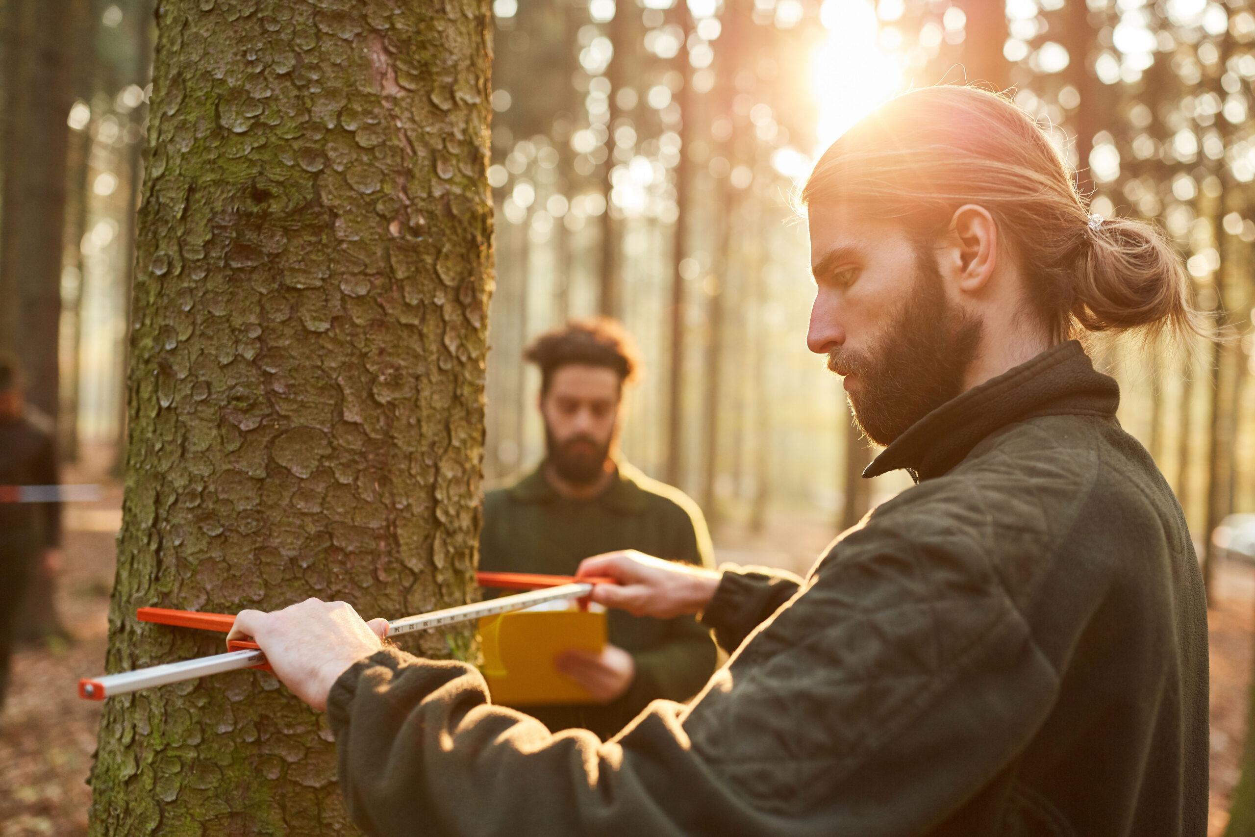 GOZDARSKI TEHNIK - SSI - SMER IZOBRAŽEVANJA