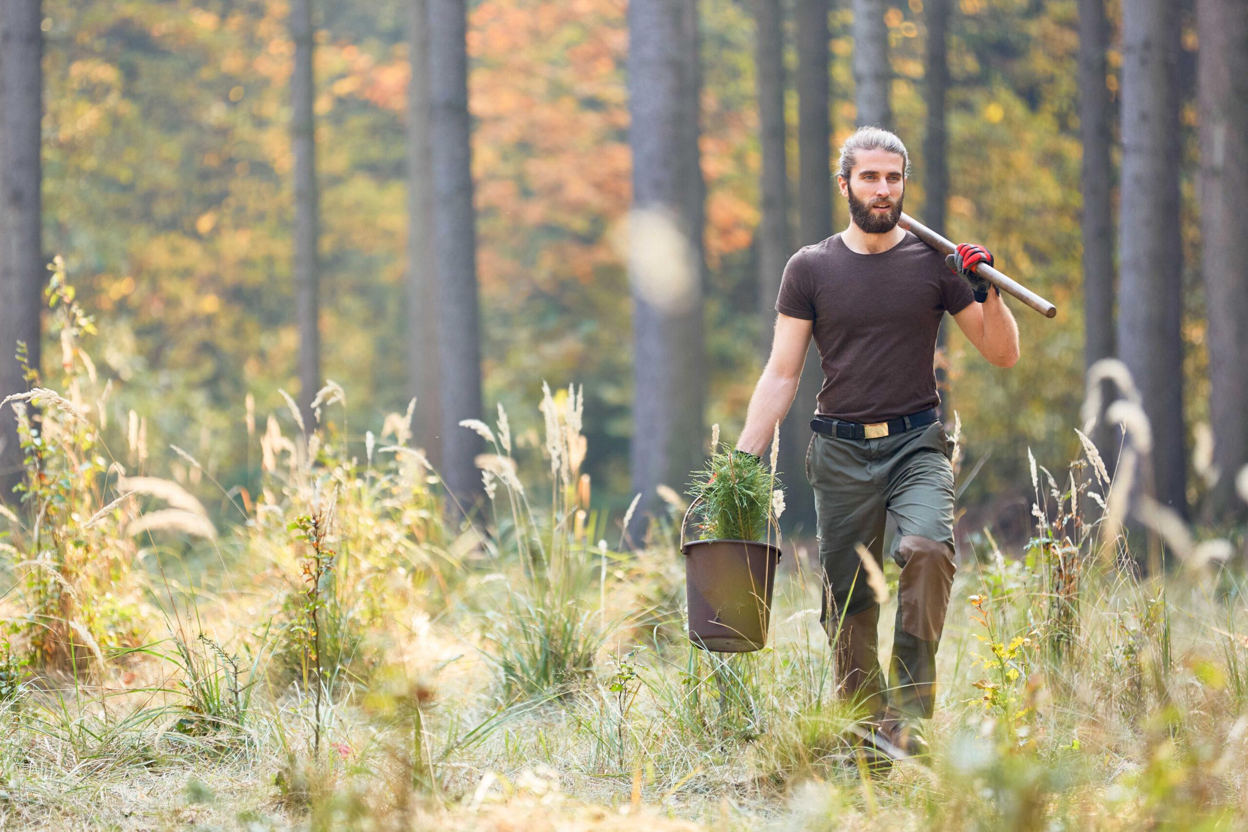 Gozdar pri delu v gozdu – deficitarni poklic v Sloveniji