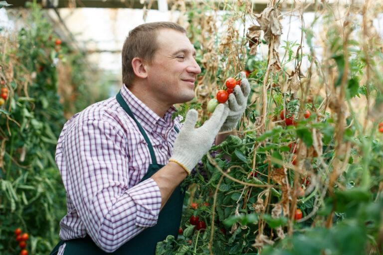 HORTIKULTURNI TEHNIK - SSI- SMER IZOBRAŽEVANJA