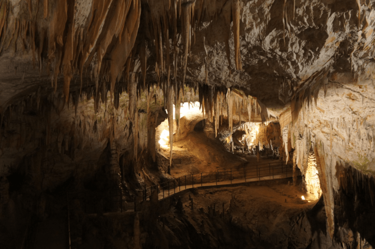 Jamski vodnik - poklic