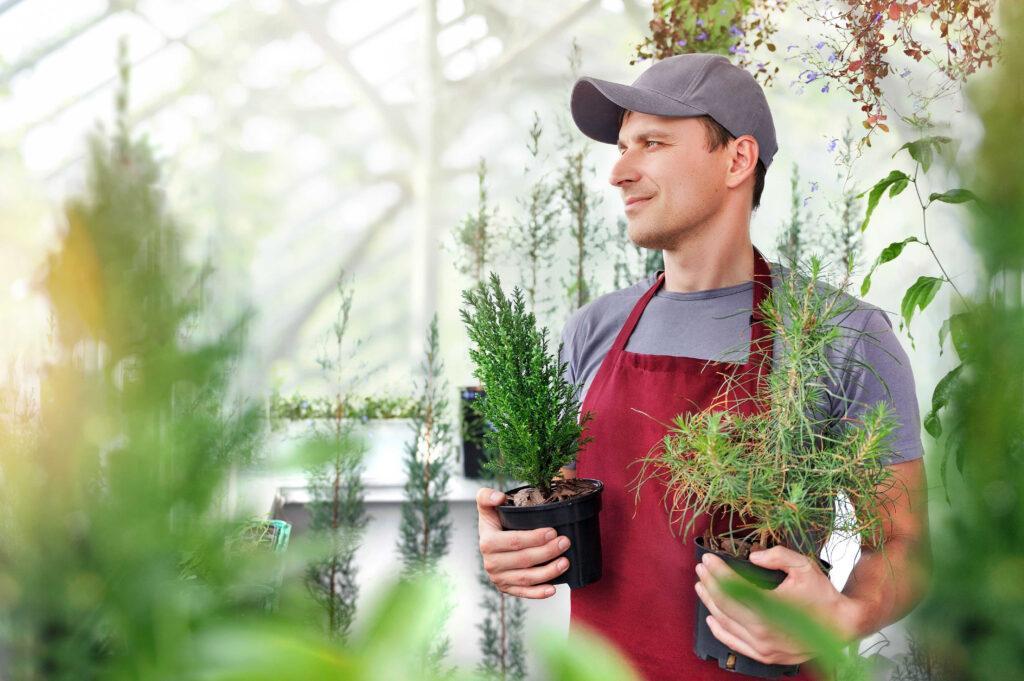 Poklic - drevesničar