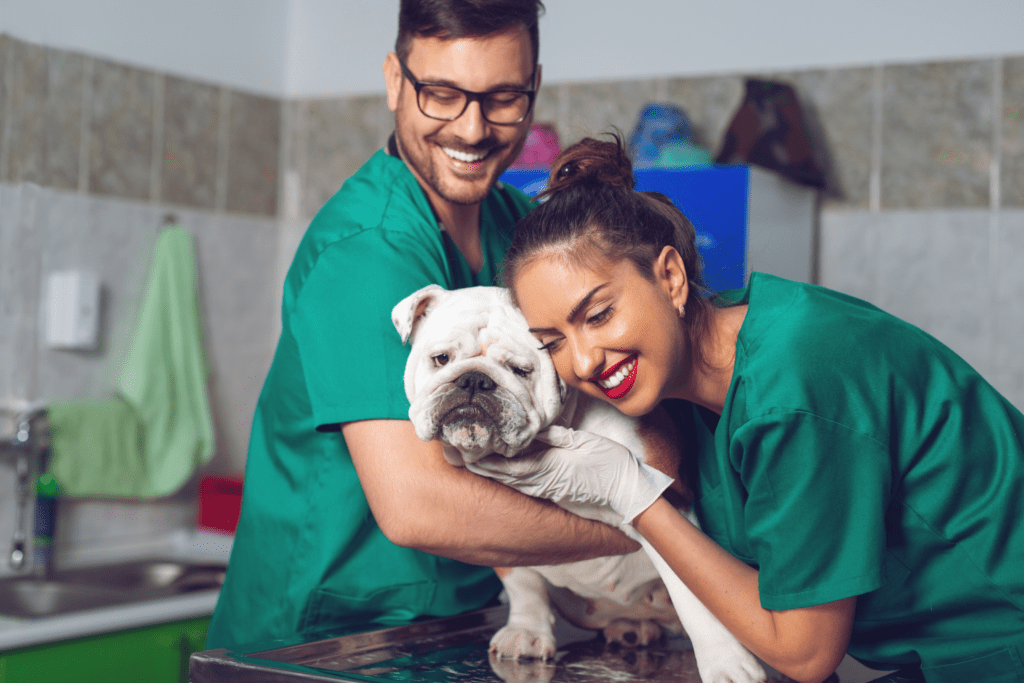 Poklic - veterinarski asistent
