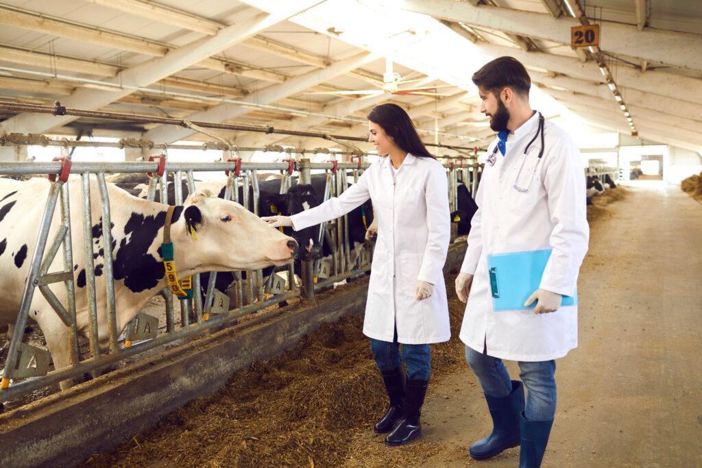 Poklic - veterinarski inšpektor