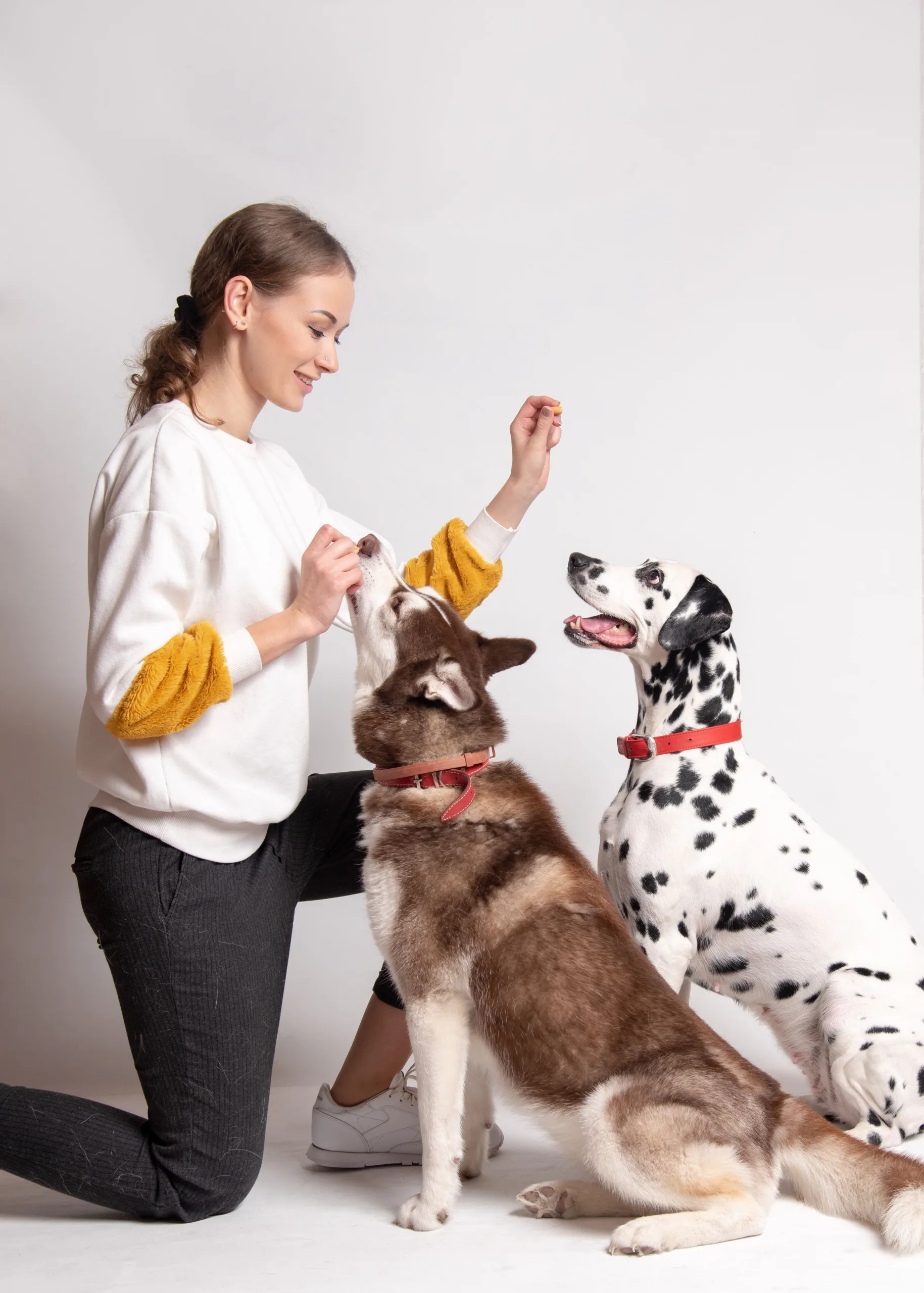 Trener vzgoje in šolanja psov - poklic