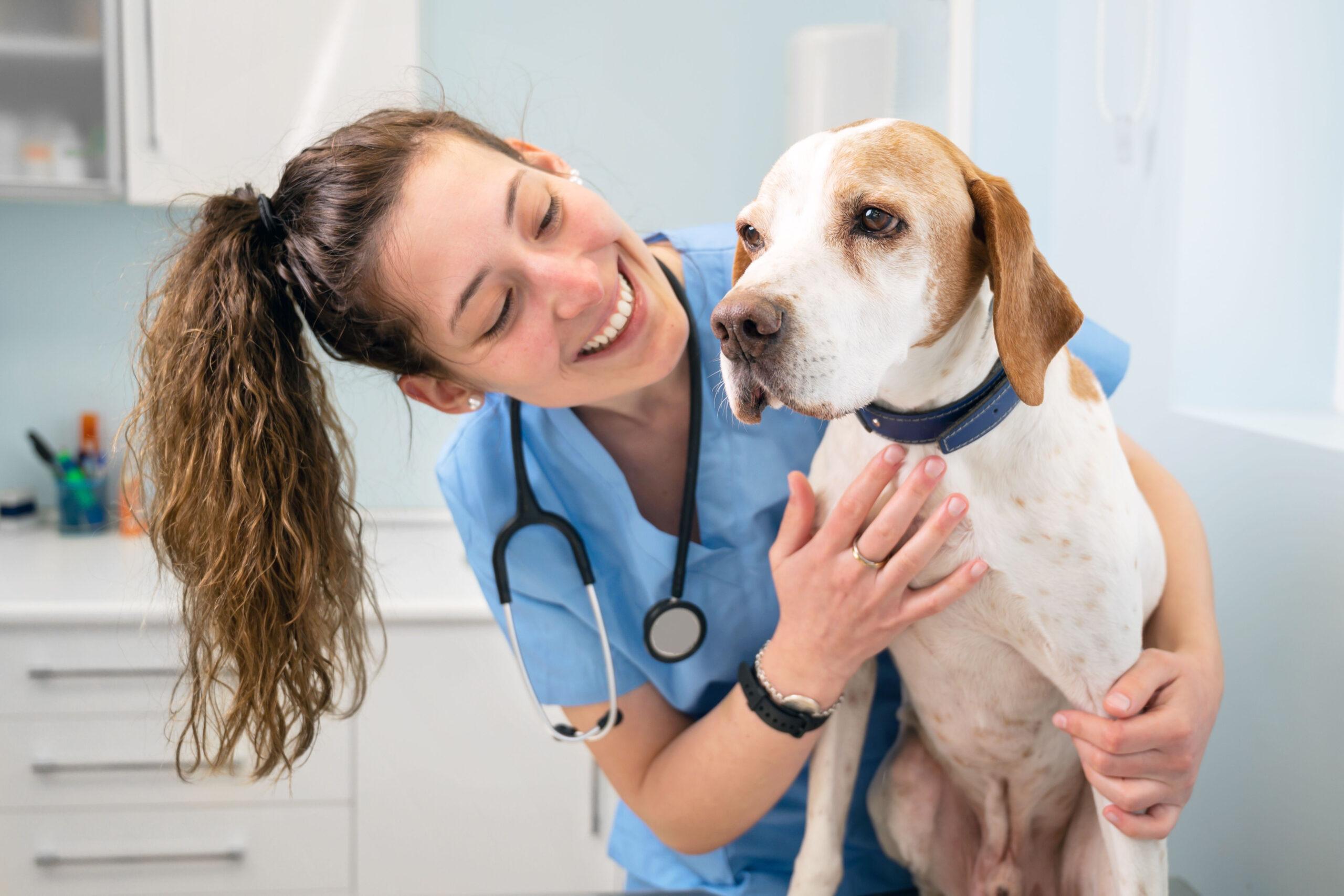 VETERINARSKI TEHNIK - SSI - smer izobraževanja