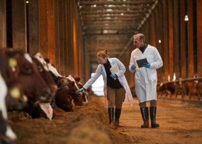 Veterinarski pomočnik v higieni živil