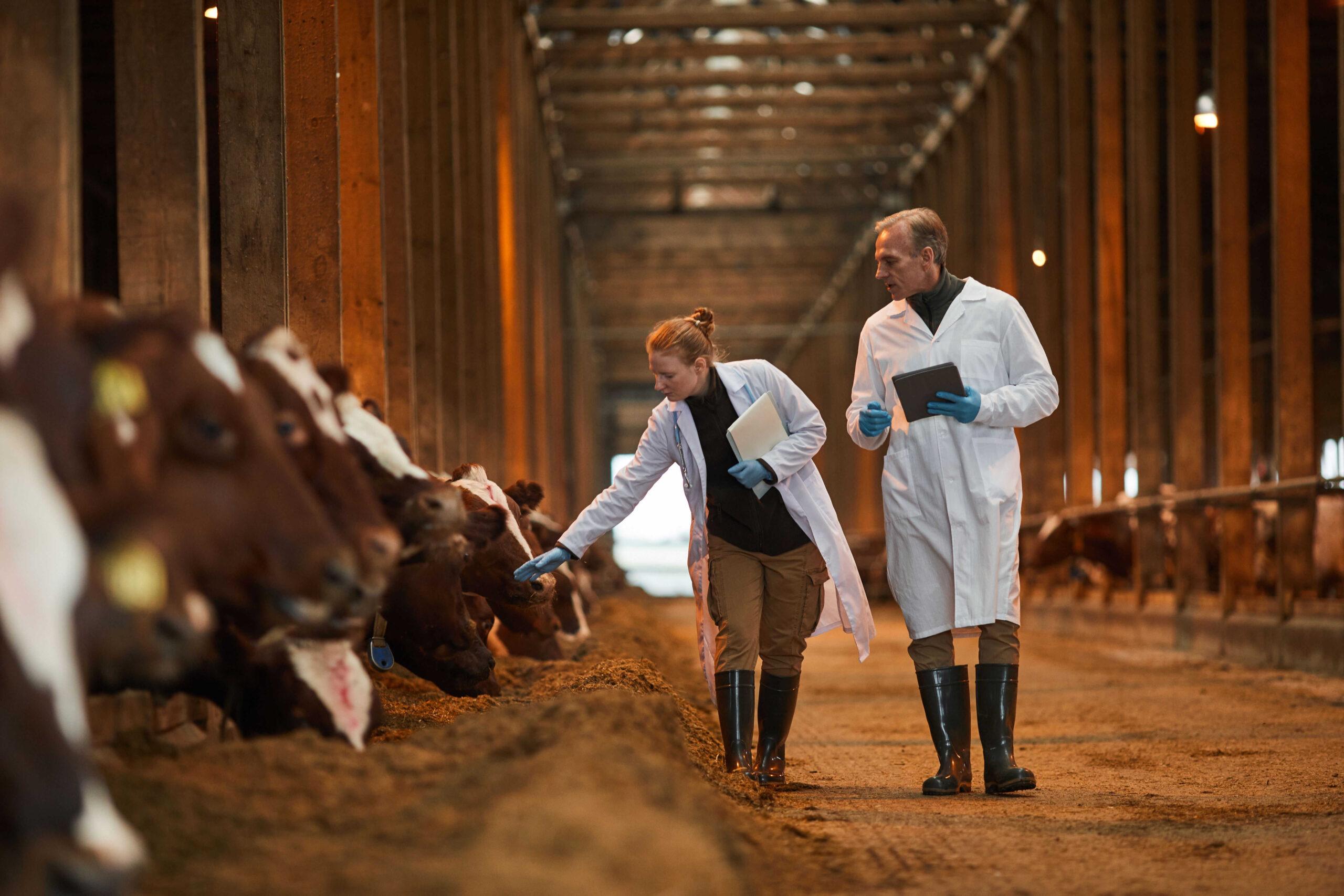 Veterinarski pomočnik v higieni živil - poklic