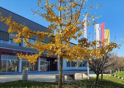 Šolski center Slovenske Konjice – Zreče – Srednja poklicna in strokovna šola Zreče