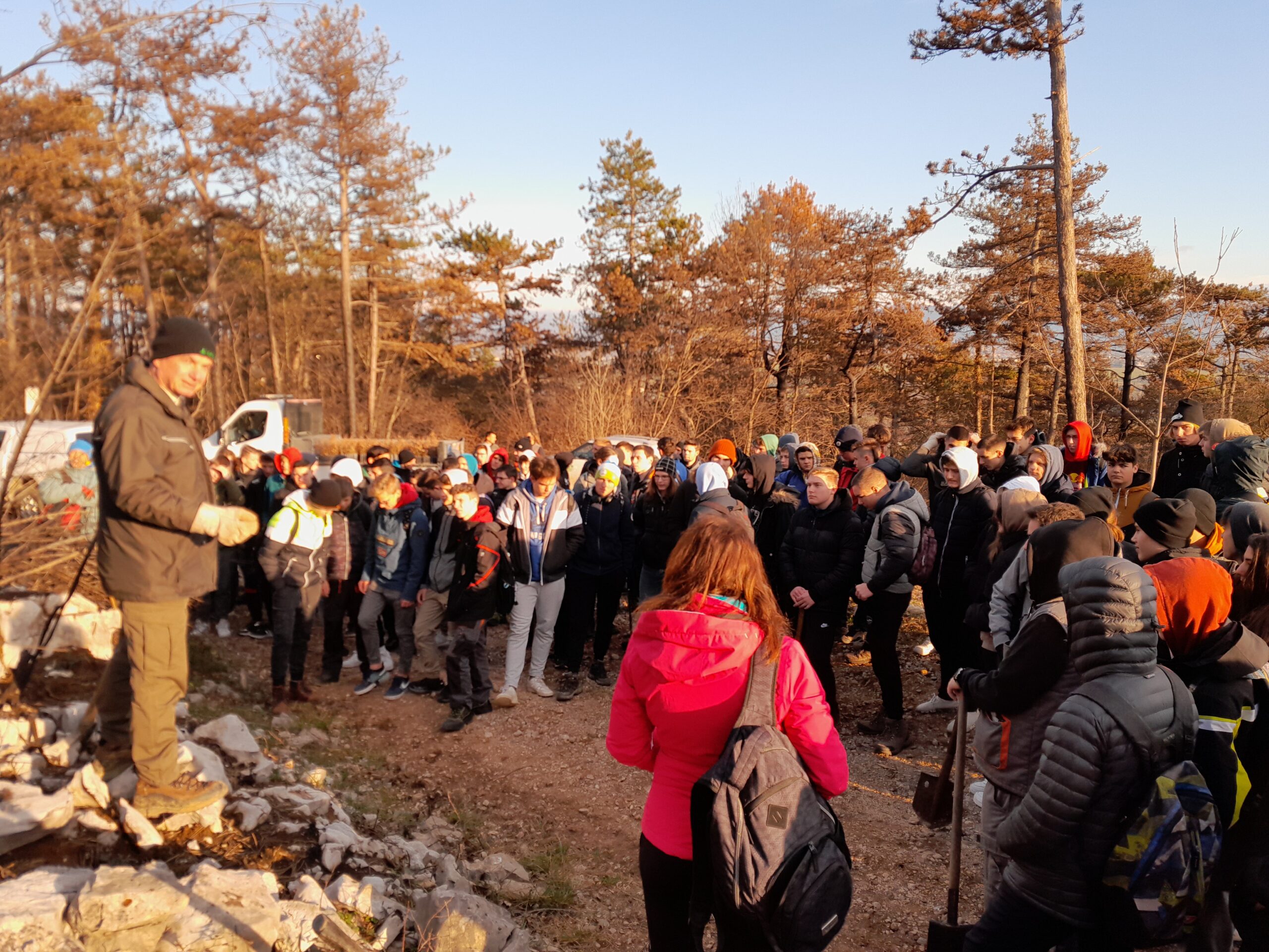 Pogozdovanje Krasa Pogozdovanje Krasa
