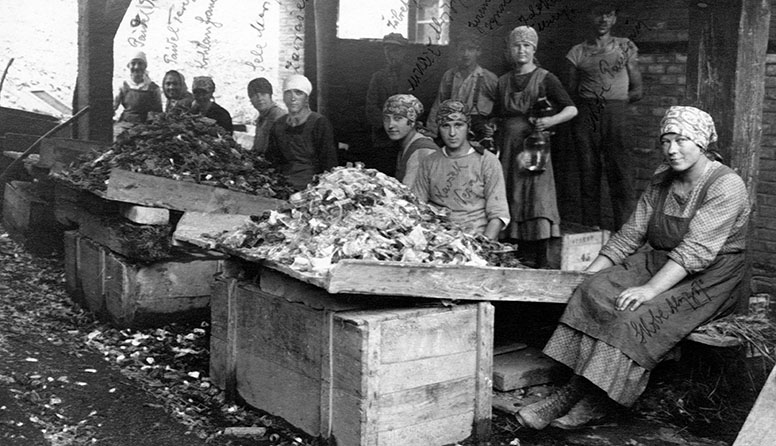 Delavke v steklarni v Hrastniku 1923