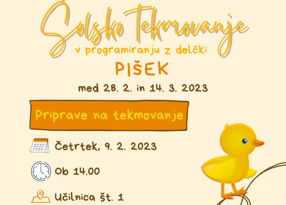 Šolsko tekmovanje Pišek