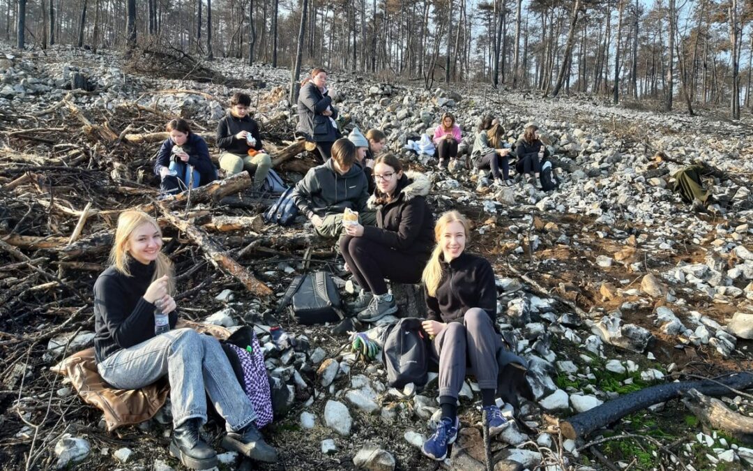 Lažje je narediti  iz gozda puščavo kot pa iz puščave gozd