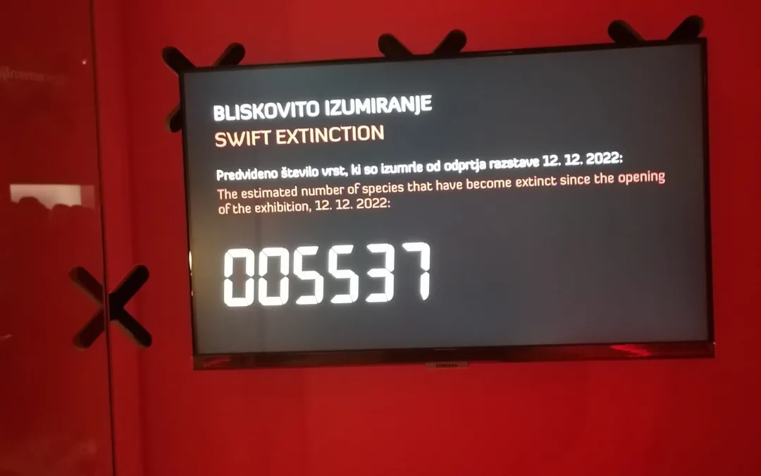 V VRTINCU SPREMEMB