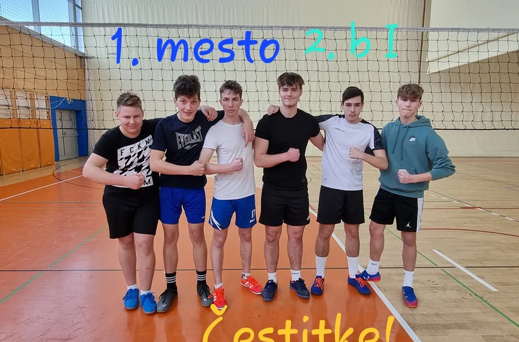Športni dan – odbojka