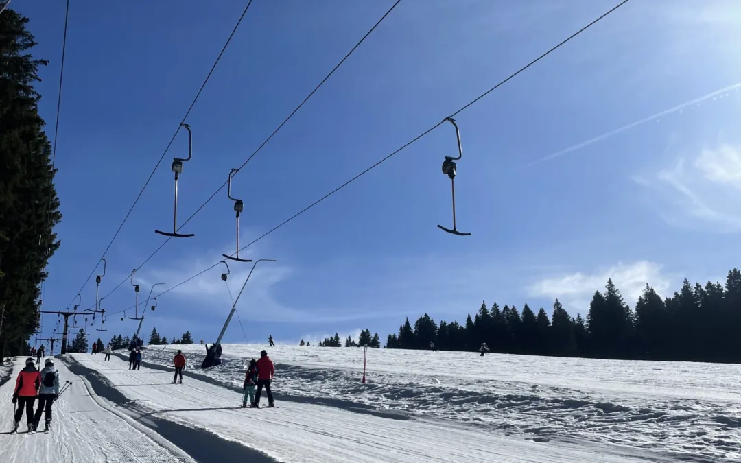 Zimski športni dan