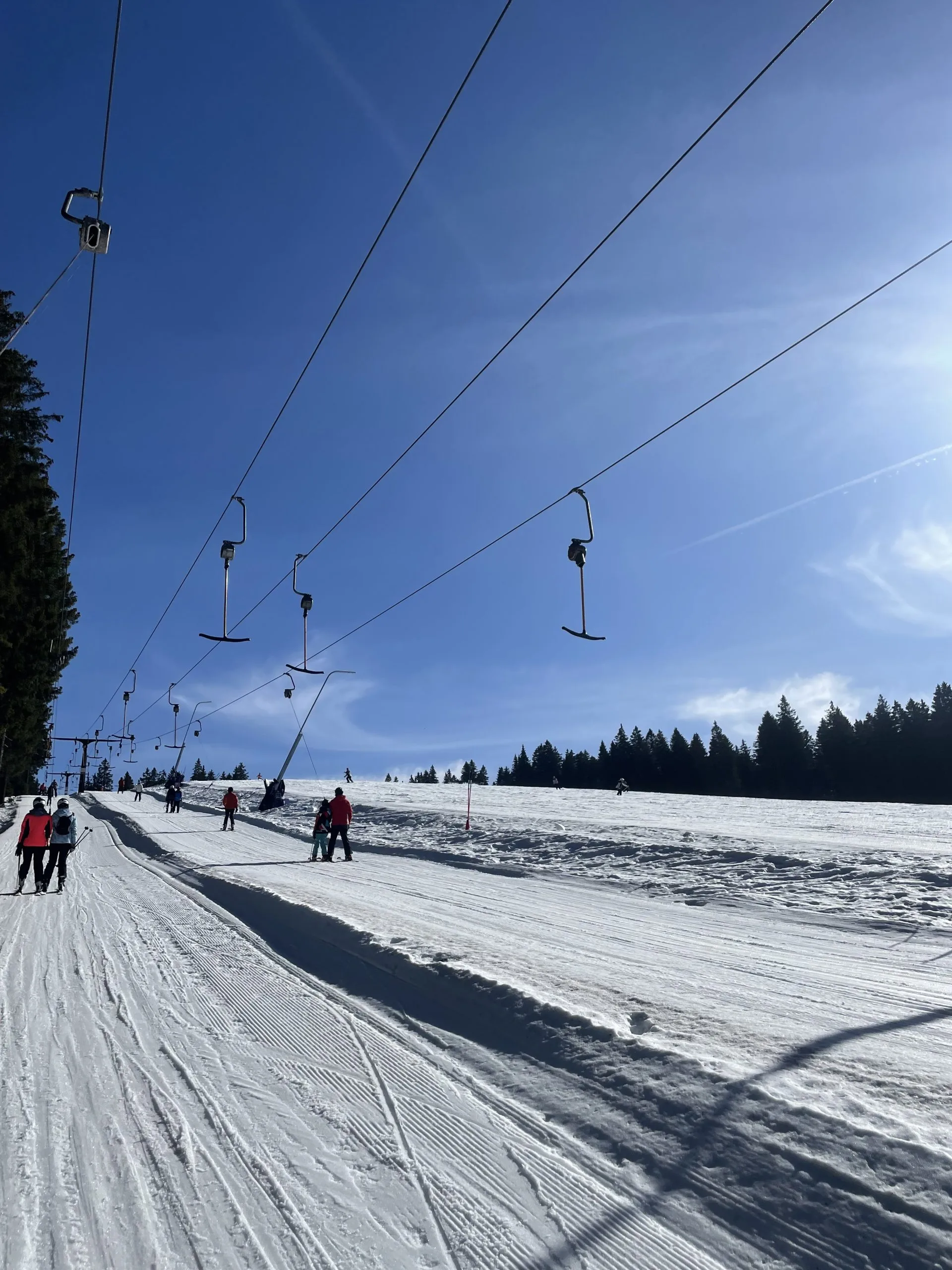 Zimski športni dan Zimski športni dan