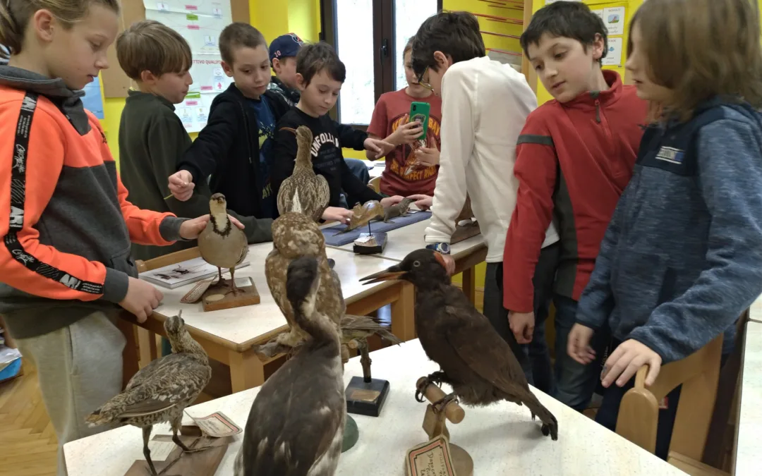Il museo scolastico entra in classe
