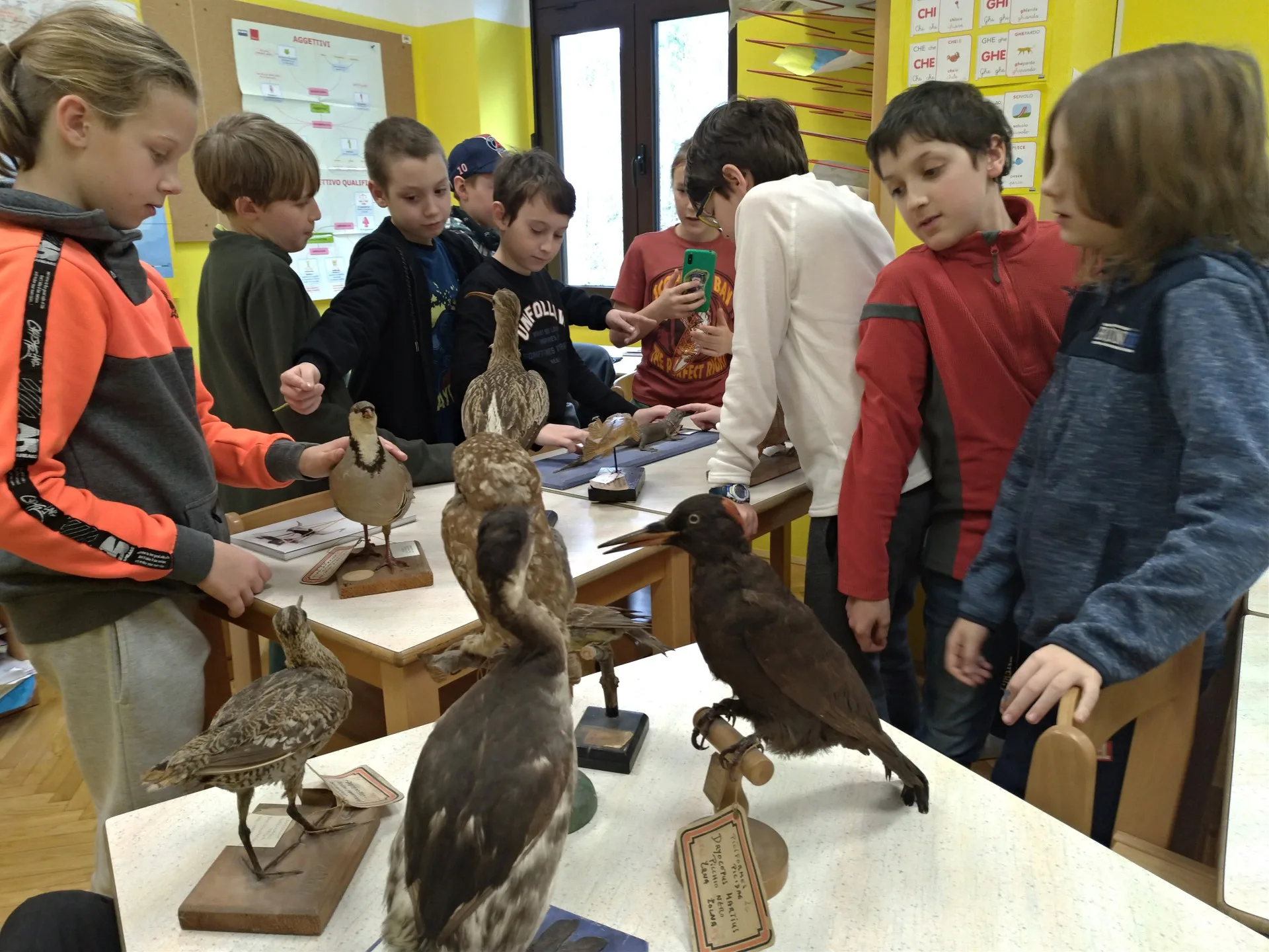 Il museo scolastico entra in classe