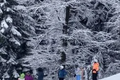 tecaj-smucanja_2022_014