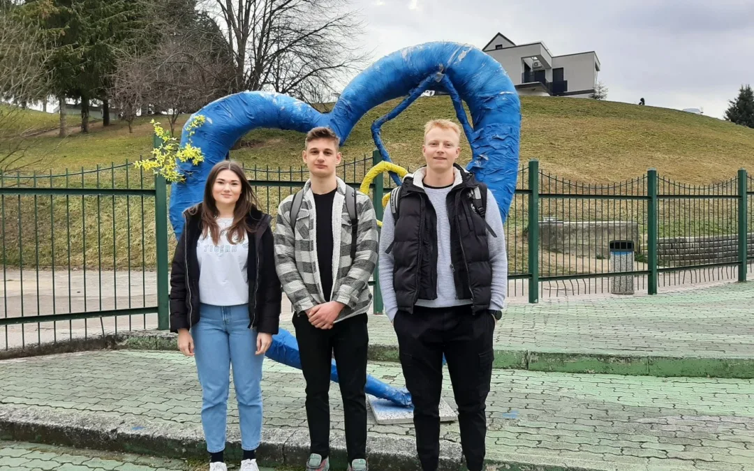 Tri srebrna priznanja v razvedrilni matematiki