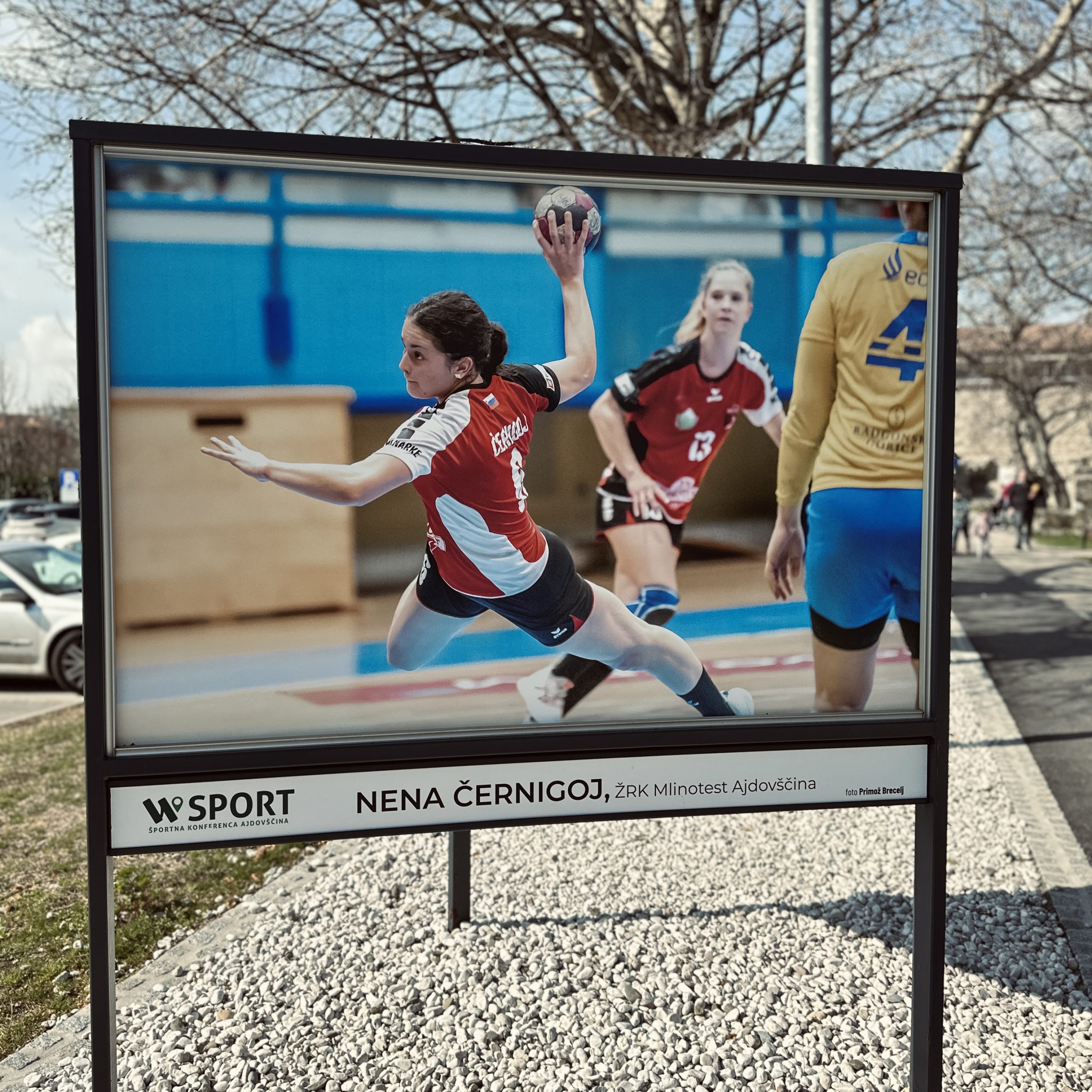 Razstava fotografij Razstava fotografij
