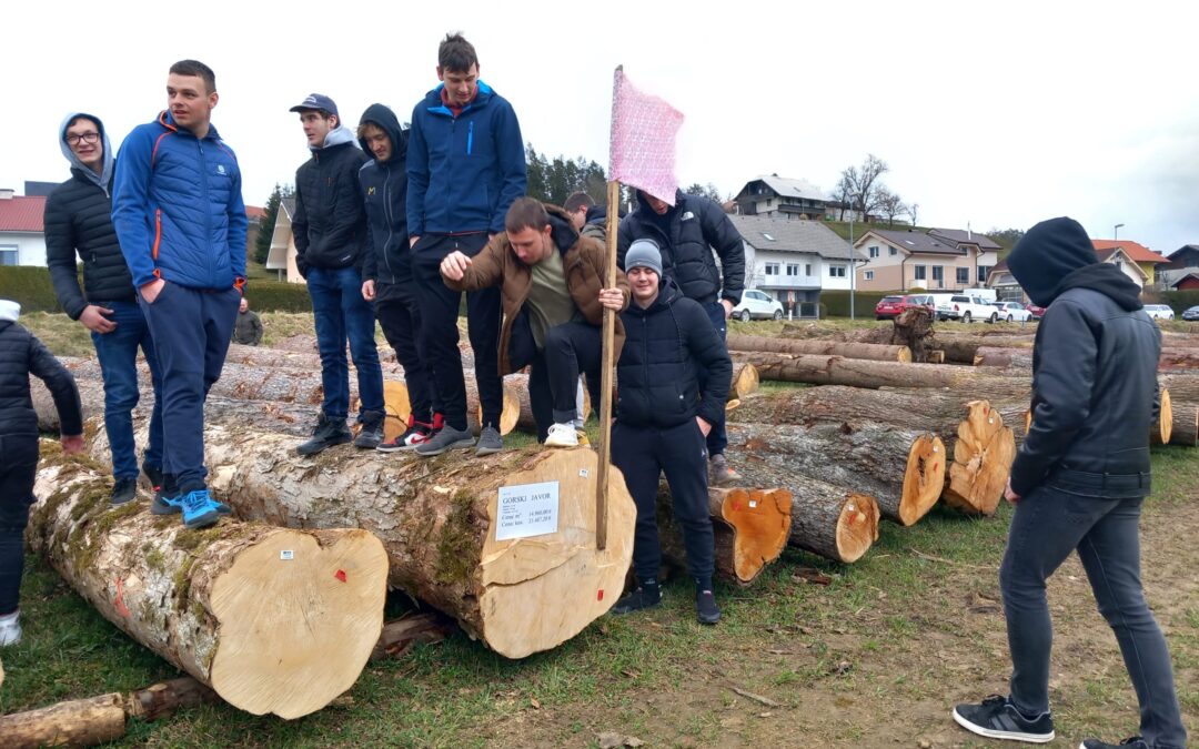 LICITACIJA VREDNEGA LESA 2023
