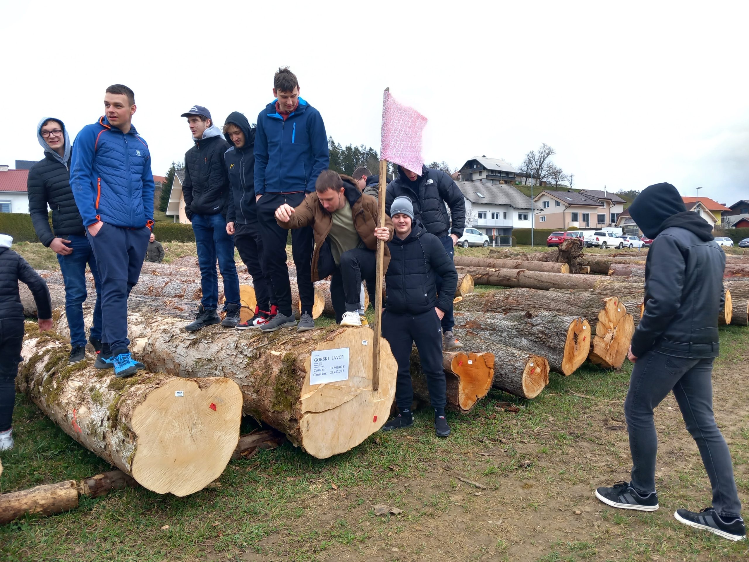 LICITACIJA VREDNEGA LESA 2023