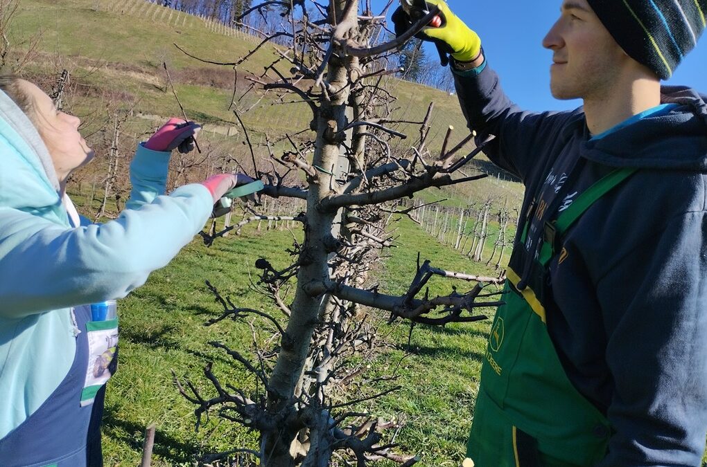 Spomladanski PUD na posestvu Biotehniške šole Maribor