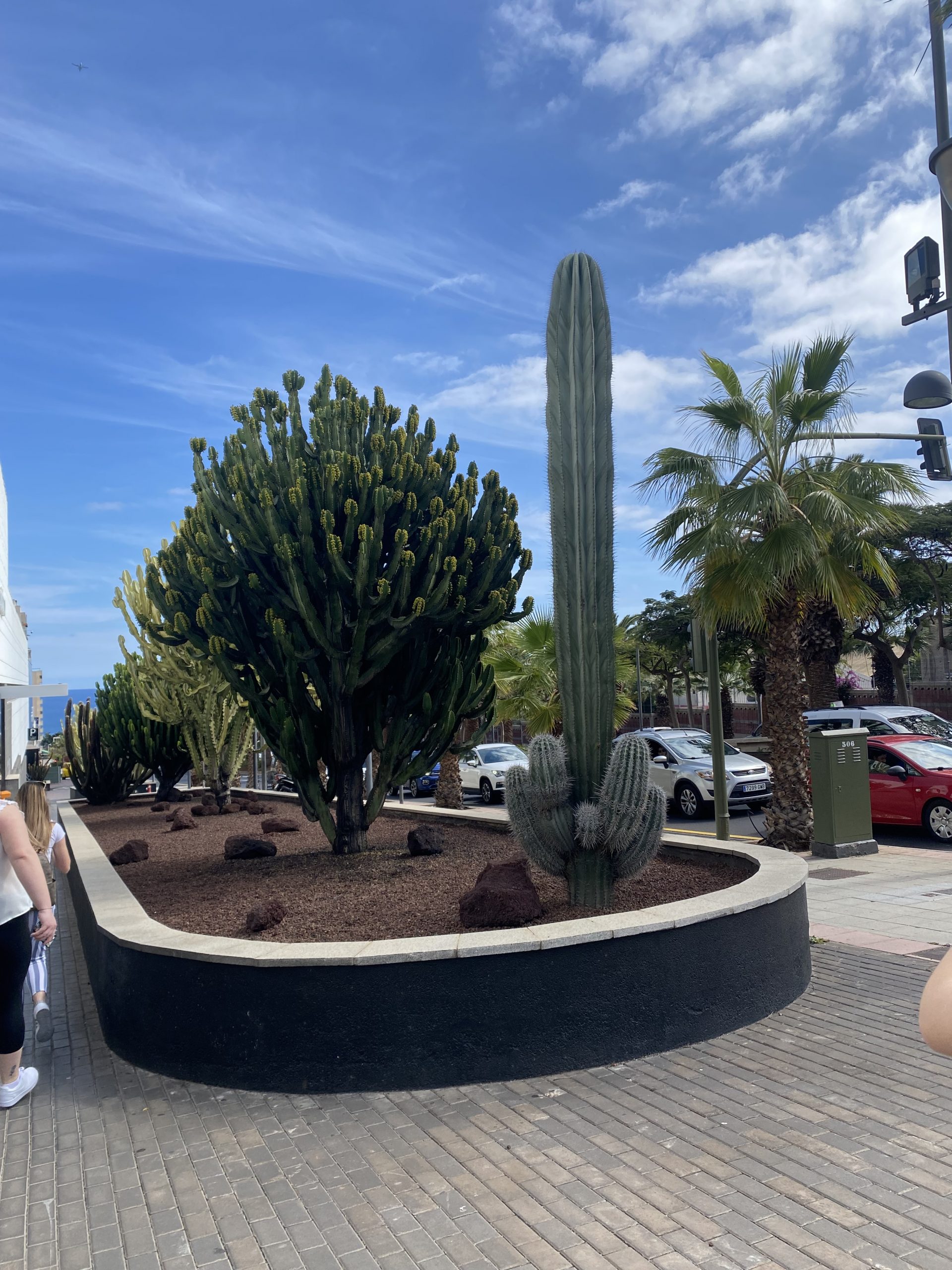 Mobilnost – TENERIFE, 16. dan (20. 3. 2023) Mobilnost – TENERIFE, 16. dan (20. 3. 2023)
