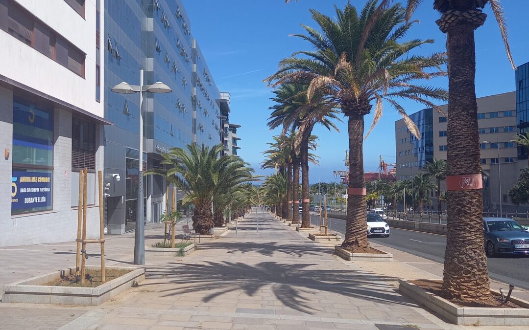 Mobilnost – TENERIFE, 19. dan (23. 3. 2023)