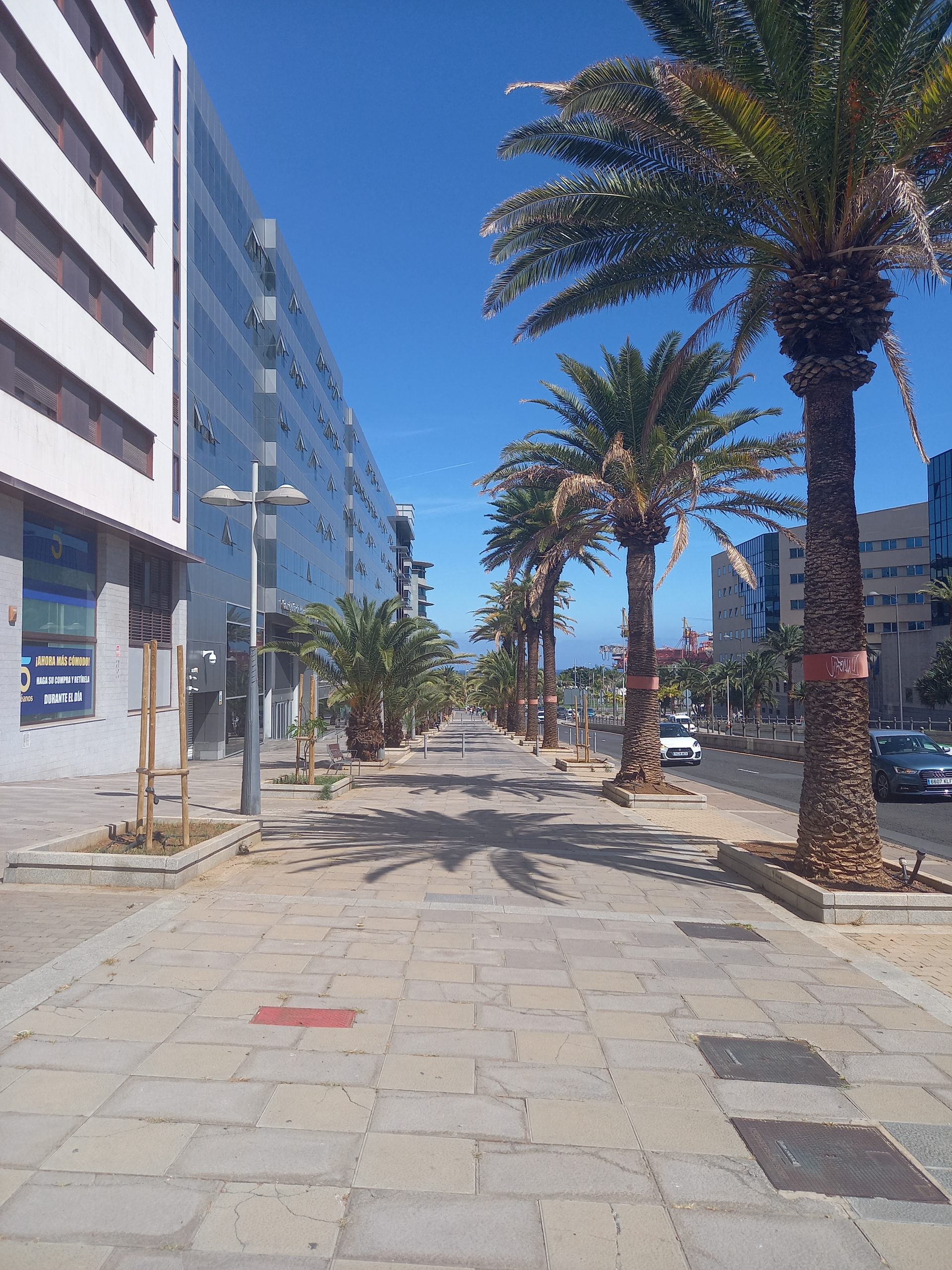 Mobilnost – TENERIFE, 19. dan (23. 3. 2023) Mobilnost – TENERIFE, 19. dan (23. 3. 2023)