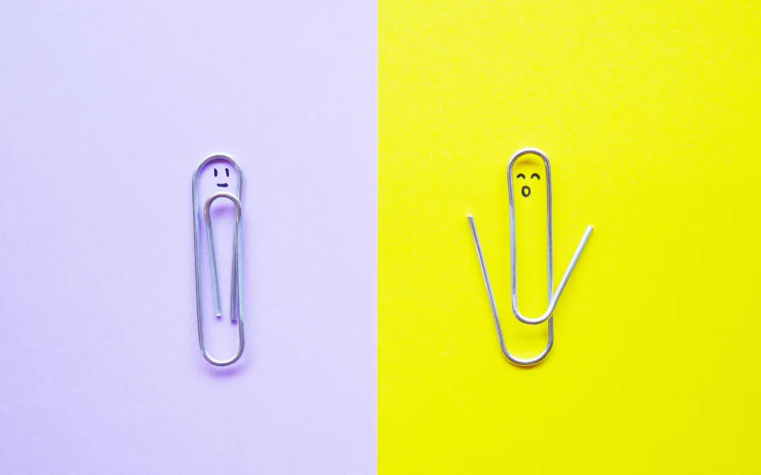 SI INTROVERT ALI EKSTROVERT?