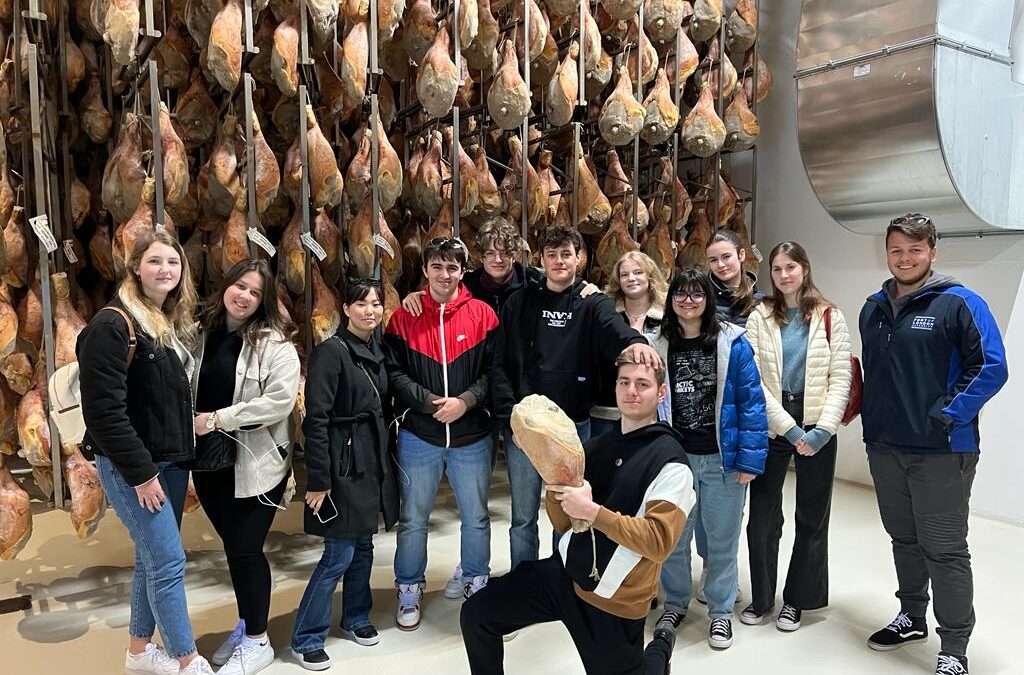 Esplorando i tesori architettonici ed enogastronomici del carso e della valle del Vipacco
