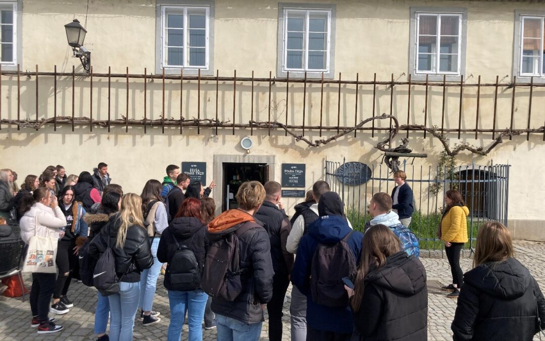 Ekskurzija v Pomurje in Radgonske Gorice