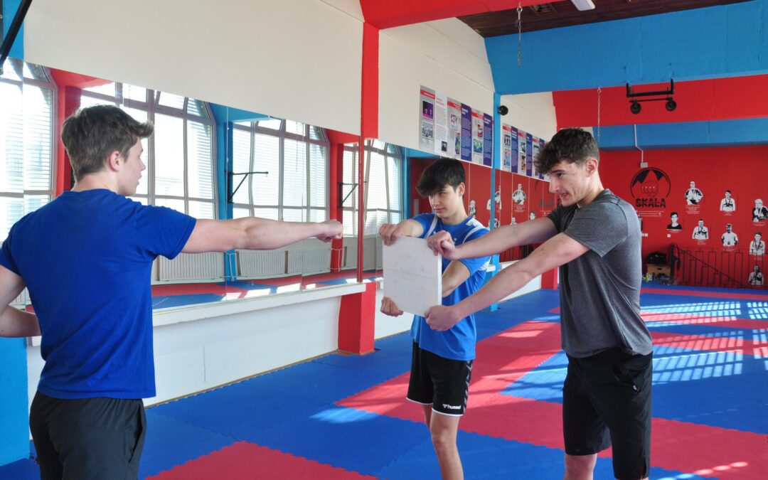 Judo in taekwondo za naše dijake športnike