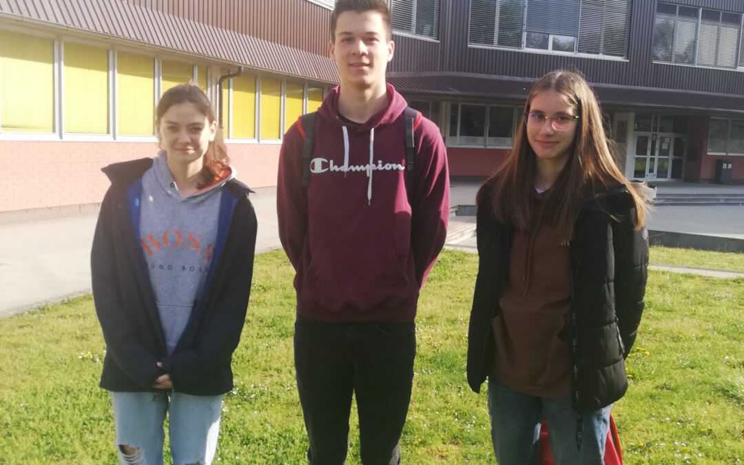 DRŽAVNO TEKMOVANJE V ZNANJU MATEMATIKE ZA SREDNJE STROKOVNE IN TEHNIŠKE ŠOLE