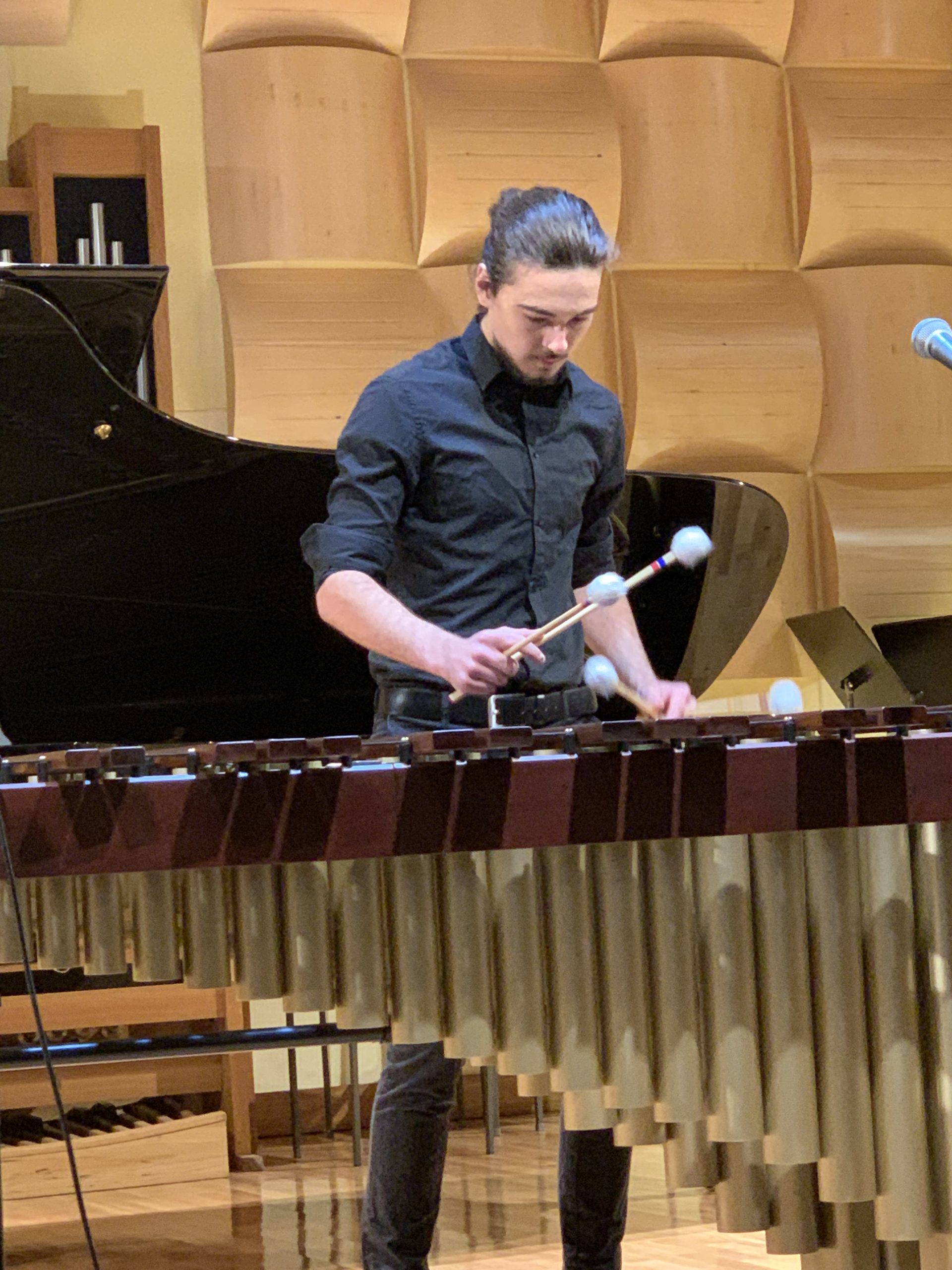 Zaključni recital Tristana Arka Zaključni recital Tristana Arka